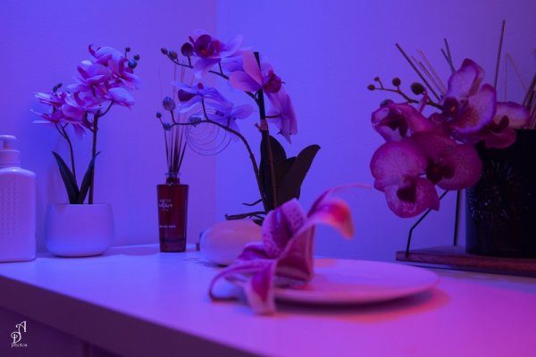 Photo de CARLOS & DANIELA MASSAGE