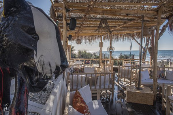 Photo de LA BOHEMIA TAPAS