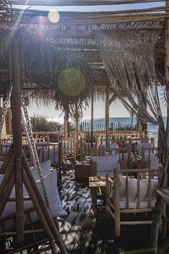 Photo de LA BOHEMIA TAPAS