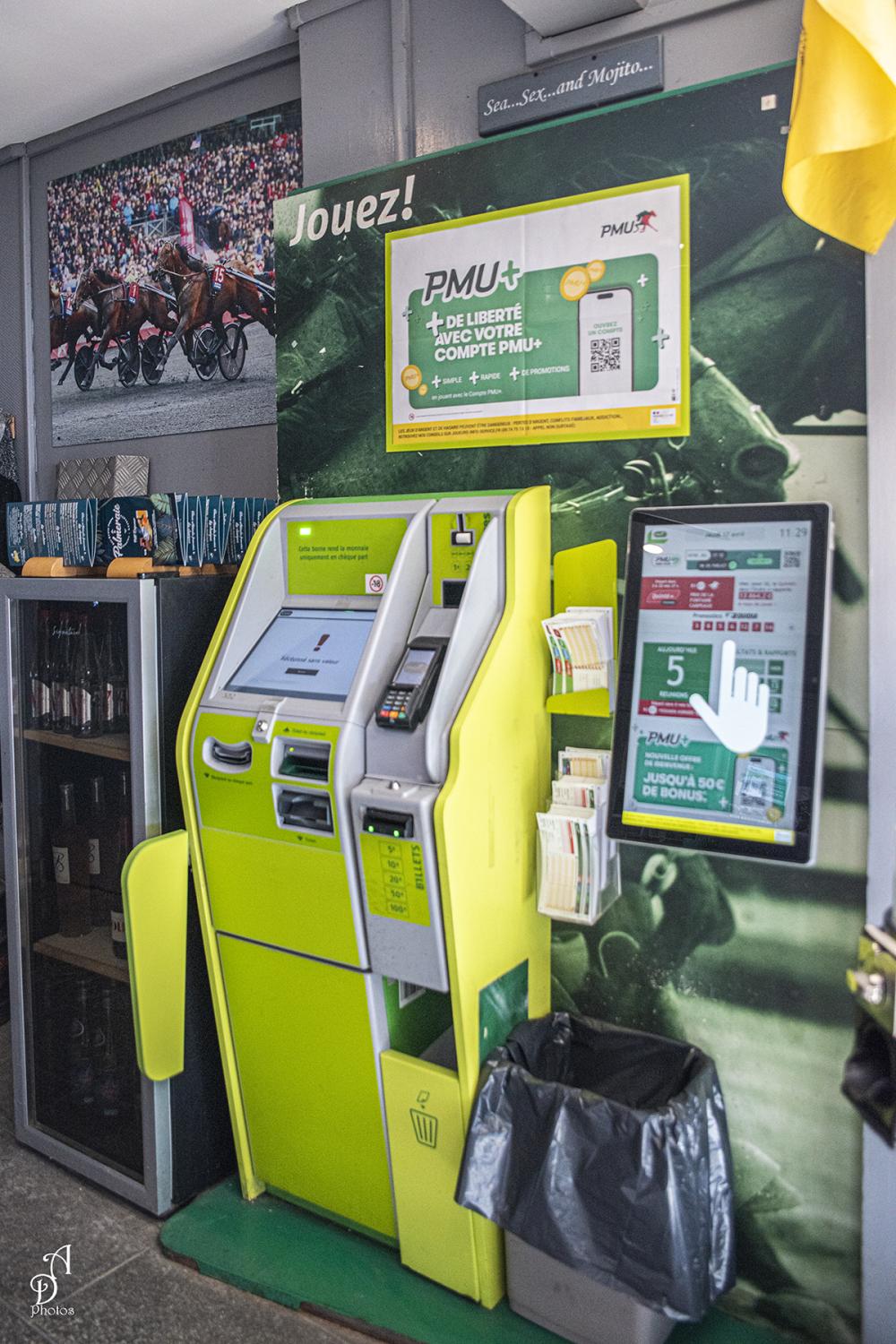 Photo de PALMERAIE BAR TAPAS RESTAURANT