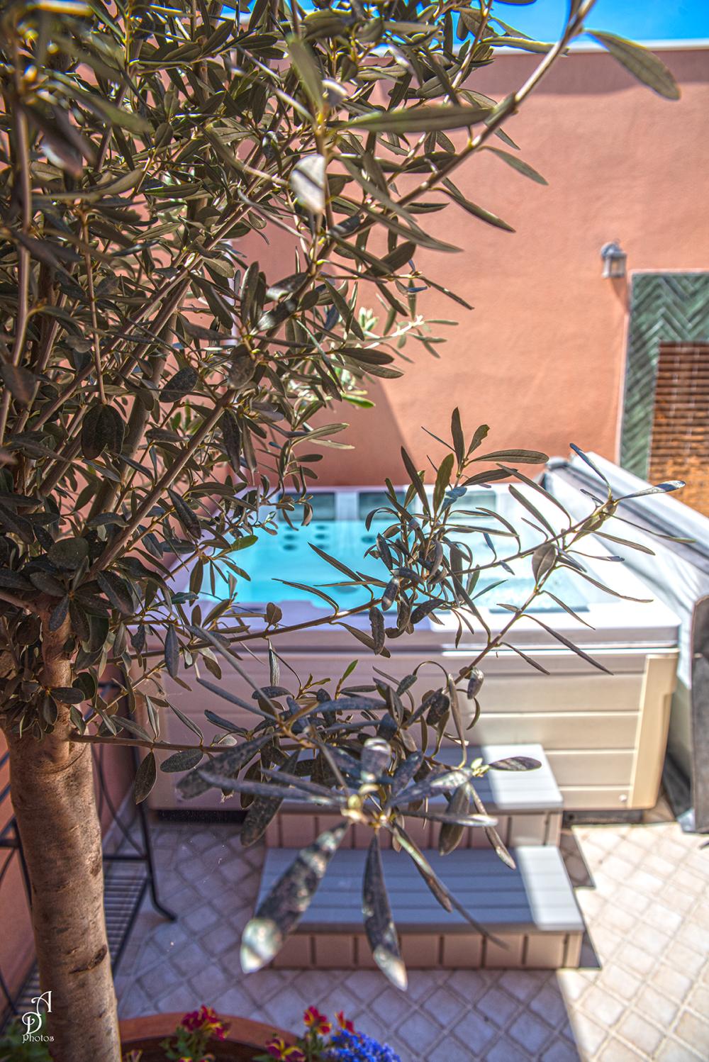 Photo de RIAD Nateve 2